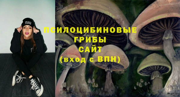 хмурый Богородск